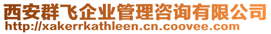 西安群飛企業(yè)管理咨詢有限公司