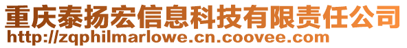 重慶泰揚(yáng)宏信息科技有限責(zé)任公司