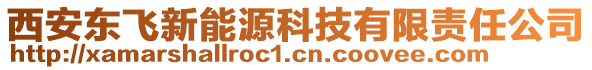 西安東飛新能源科技有限責任公司