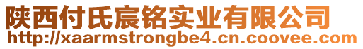 陕西付氏宸铭实业有限公司