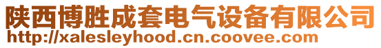 陜西博勝成套電氣設(shè)備有限公司