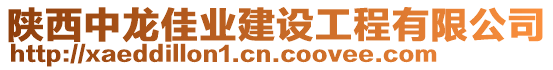 陜西中龍佳業(yè)建設工程有限公司