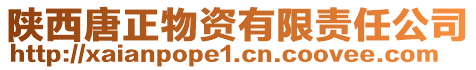 陜西唐正物資有限責任公司