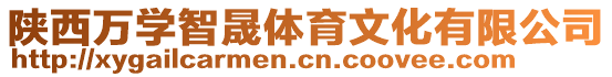 陜西萬學智晟體育文化有限公司