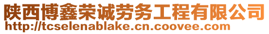 陜西博鑫榮誠(chéng)勞務(wù)工程有限公司