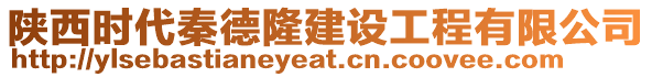 陜西時(shí)代秦德隆建設(shè)工程有限公司