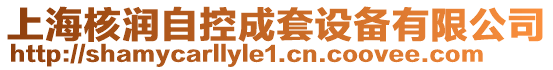 上海核潤(rùn)自控成套設(shè)備有限公司