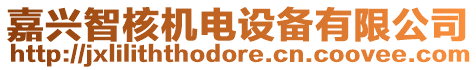 嘉興智核機電設(shè)備有限公司