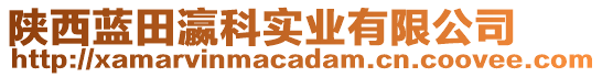 陜西藍(lán)田瀛科實(shí)業(yè)有限公司