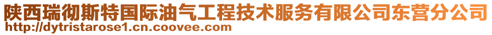 陜西瑞徹斯特國(guó)際油氣工程技術(shù)服務(wù)有限公司東營(yíng)分公司