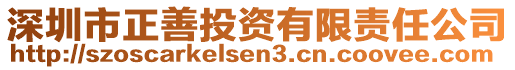 深圳市正善投資有限責(zé)任公司