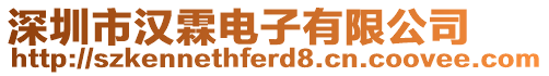 深圳市漢霖電子有限公司