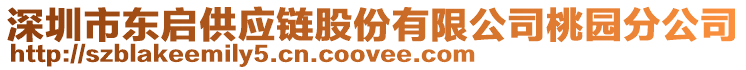 深圳市東啟供應鏈股份有限公司桃園分公司