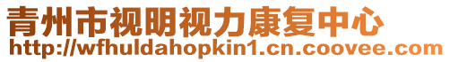 青州市視明視力康復(fù)中心