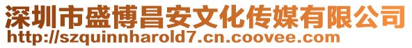 深圳市盛博昌安文化傳媒有限公司