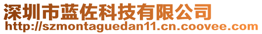 深圳市藍(lán)佐科技有限公司