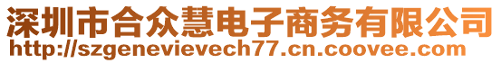 深圳市合眾慧電子商務(wù)有限公司