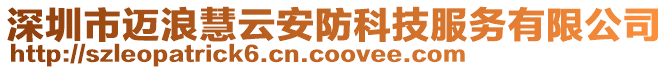 深圳市邁浪慧云安防科技服務有限公司