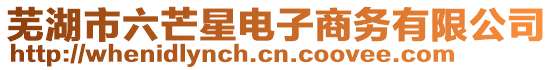 蕪湖市六芒星電子商務(wù)有限公司