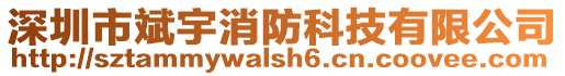 深圳市斌宇消防科技有限公司