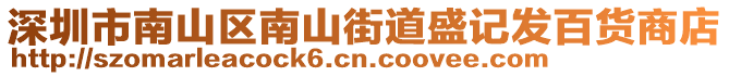 深圳市南山区南山街道盛记发百货商店