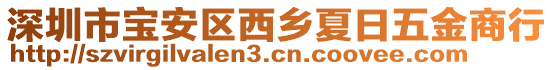 深圳市寶安區(qū)西鄉(xiāng)夏日五金商行