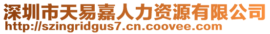 深圳市天易嘉人力資源有限公司