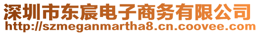 深圳市東宸電子商務有限公司