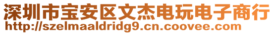 深圳市寶安區文杰電玩電子商行