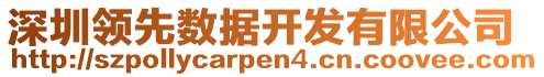 深圳領(lǐng)先數(shù)據(jù)開發(fā)有限公司