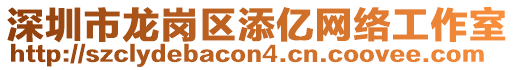 深圳市龍崗區(qū)添億網(wǎng)絡(luò)工作室