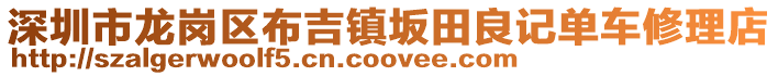 深圳市龍崗區布吉鎮坂田良記單車修理店