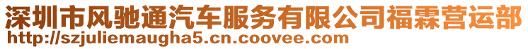 深圳市風(fēng)馳通汽車(chē)服務(wù)有限公司福霖營(yíng)運(yùn)部