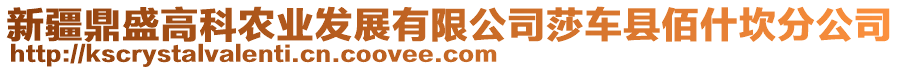 新疆鼎盛高科農(nóng)業(yè)發(fā)展有限公司莎車縣佰什坎分公司