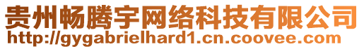 貴州暢騰宇網絡科技有限公司