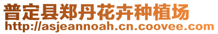 普定縣鄭丹花卉種植場