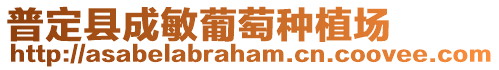 普定縣成敏葡萄種植場(chǎng)