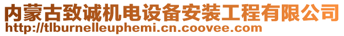 內(nèi)蒙古致誠(chéng)機(jī)電設(shè)備安裝工程有限公司