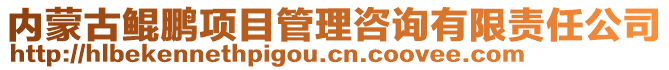 内蒙古鲲鹏项目管理咨询有限责任公司