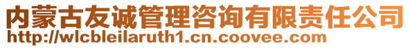 內(nèi)蒙古友誠(chéng)管理咨詢(xún)有限責(zé)任公司