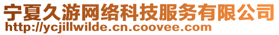 寧夏久游網(wǎng)絡(luò)科技服務(wù)有限公司