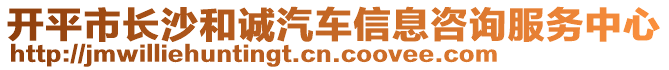 開平市長沙和誠汽車信息咨詢服務(wù)中心