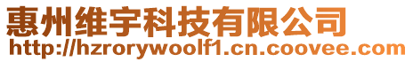 惠州維宇科技有限公司