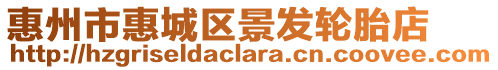 惠州市惠城區(qū)景發(fā)輪胎店