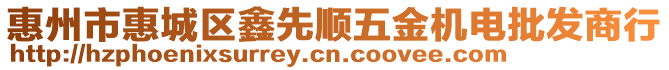 惠州市惠城區(qū)鑫先順五金機電批發(fā)商行