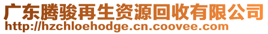 廣東騰駿再生資源回收有限公司