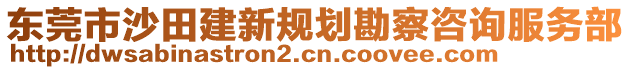 東莞市沙田建新規劃勘察咨詢服務部