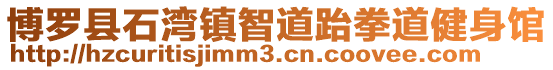 博羅縣石灣鎮(zhèn)智道跆拳道健身館