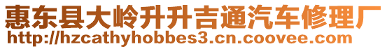 惠東縣大嶺升升吉通汽車修理廠