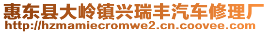 惠東縣大嶺鎮(zhèn)興瑞豐汽車修理廠